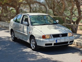 Polo
